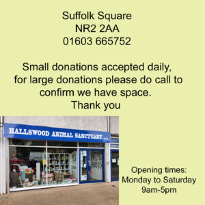 Suffolk Square website